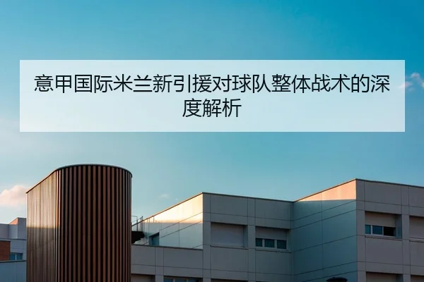 意甲国际米兰新引援对球队整体战术的深度解析